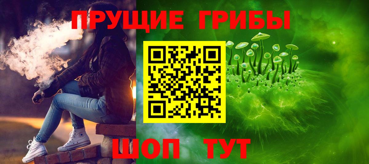 Псилоцибиновые грибы Cubensis Таганрог